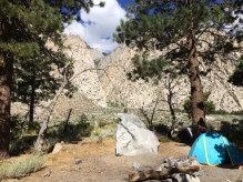 Pine tree creek campground